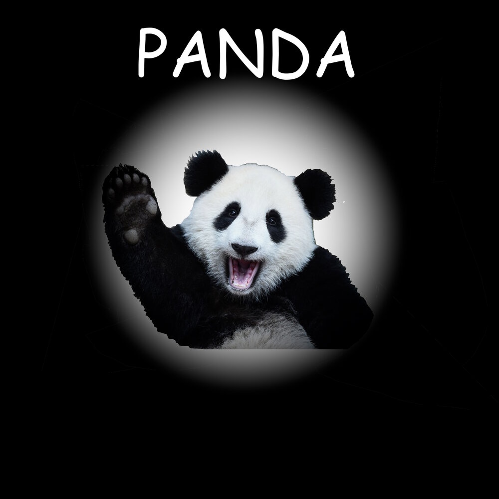 Песни моя панда. "panda e" ленин. Панда трек. Песни моя панда. Мр панда.