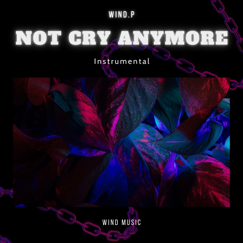 Альбом ветер. Ветер альбом семьсот семь. Послушай ветра песня. Слушай ветер минус. Слушай ветер минус.