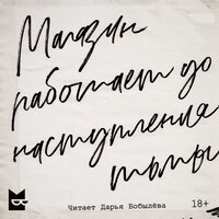 Аудио Дарья Бобылёва. «Магазин работает до наступления тьмы»  