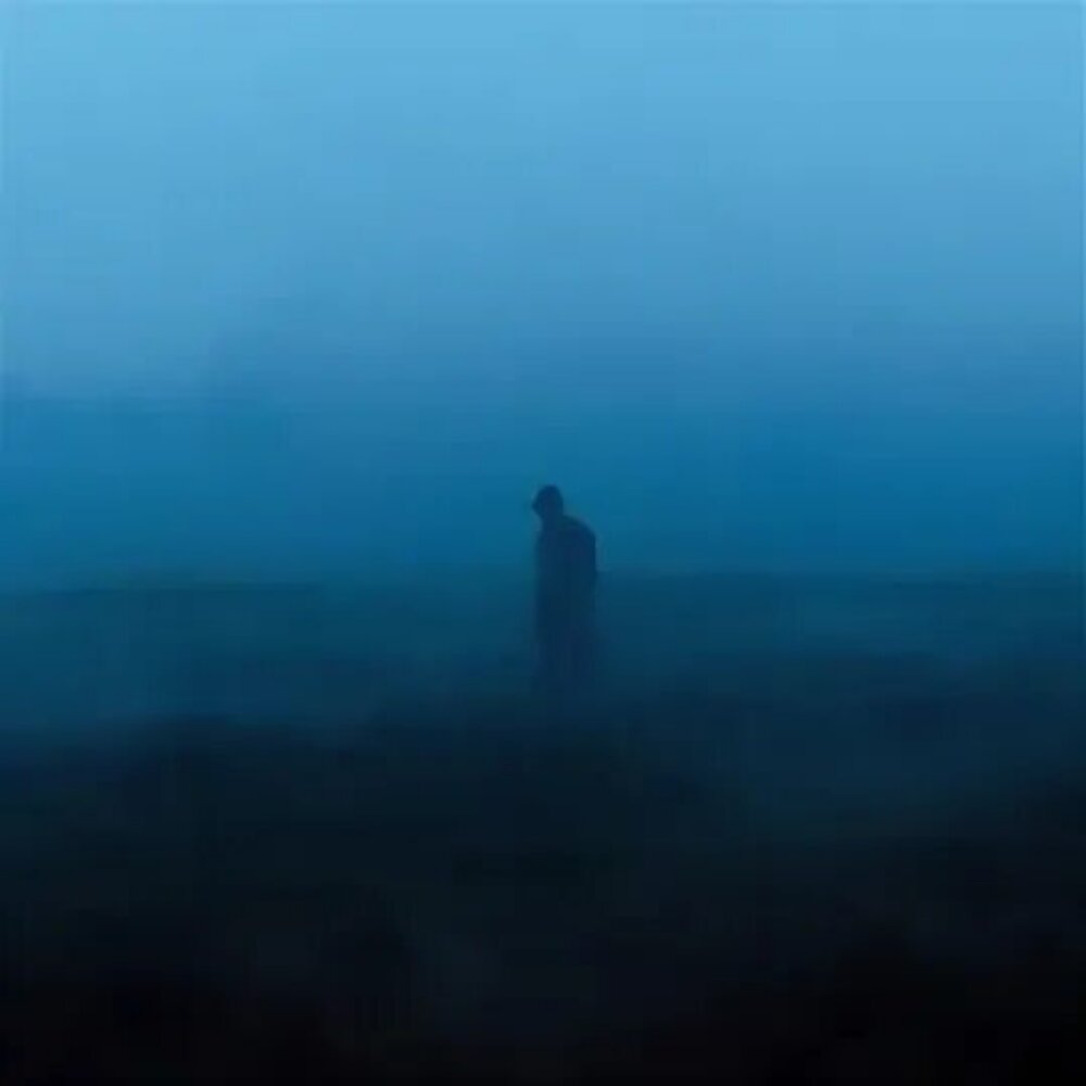 Diedlonely i was only temporary. Diedlonely. Diedlonely i was only temporary. Diedlonely i was only temporary. Stellar diedlonely enouement обложка.