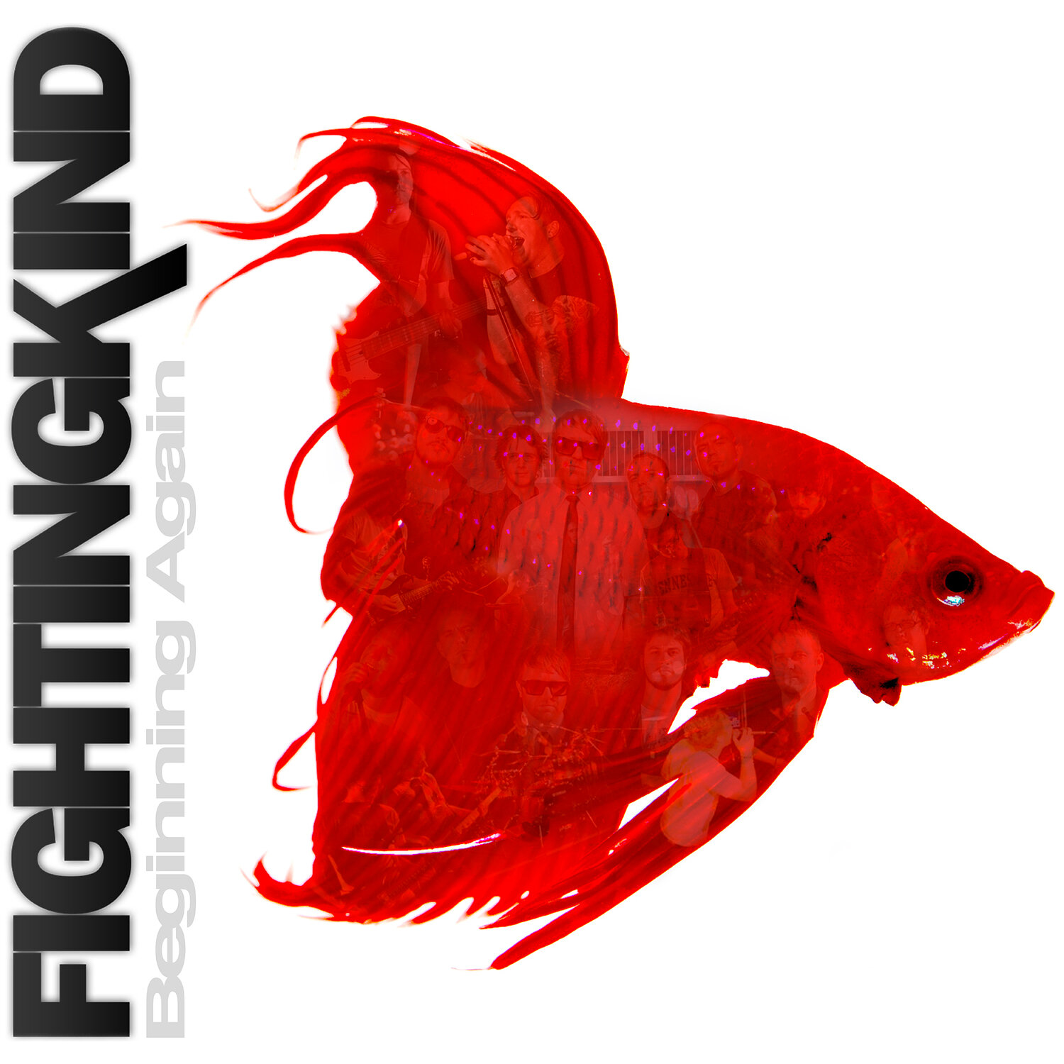 Fighting Kind