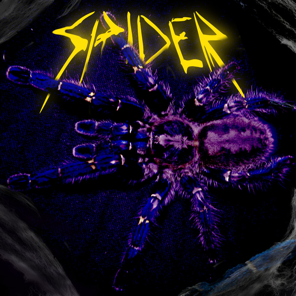 Песни про пауков слушать. Паук либерал. Blade Spider album. Песня про паука. Evrygone.