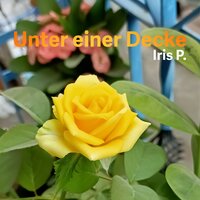 artist-cover