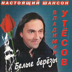 Белые берёзы
