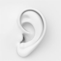 掌嘴, lil-7, 张雪飞