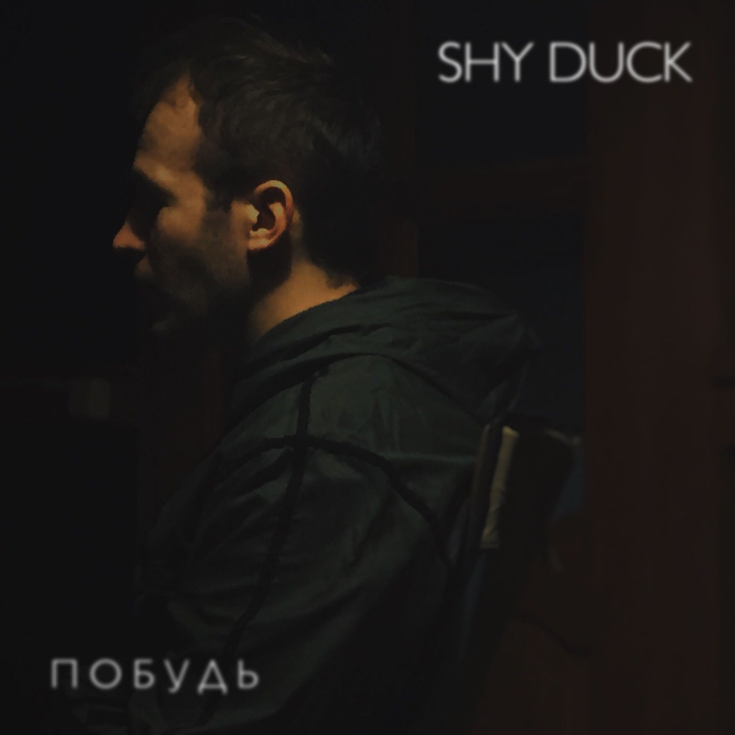 Shy Duck