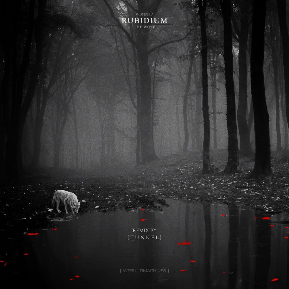 track-cover