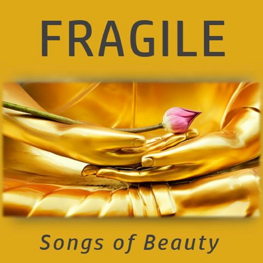 Fragile песня