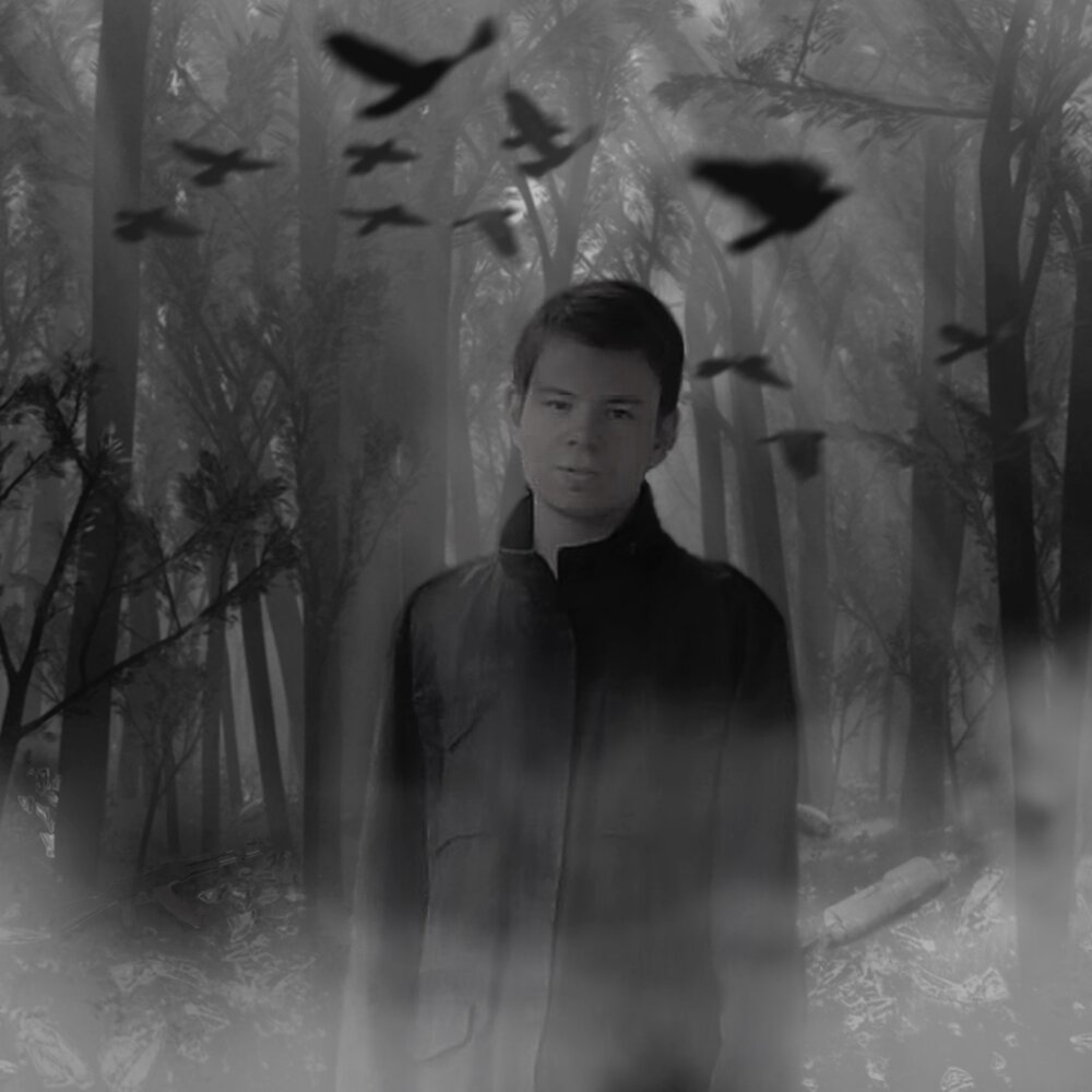 дмитрий ворон русское чернокнижие 4 том. полет ворона книга вересов. черный ворон книга книги дмитрия вересова. дмитрий вересов. дмитрий вересов черный ворон.