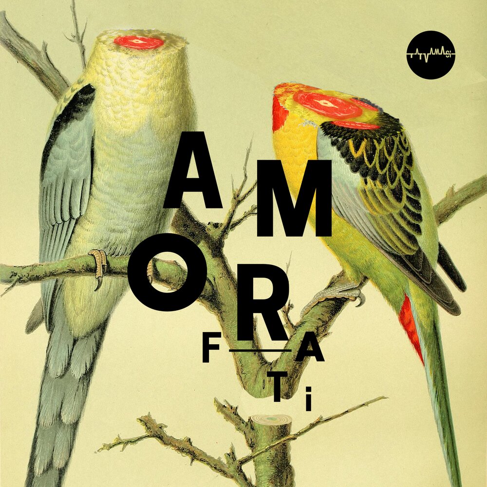 Amor fati. Амор Фати. Amor Fati listen on.