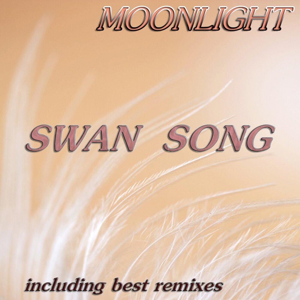 Светлый свет песни слушать. Сван Сонг лейбл. Moonlight Song. Moonlight Sweets. Moon Light Sweets.