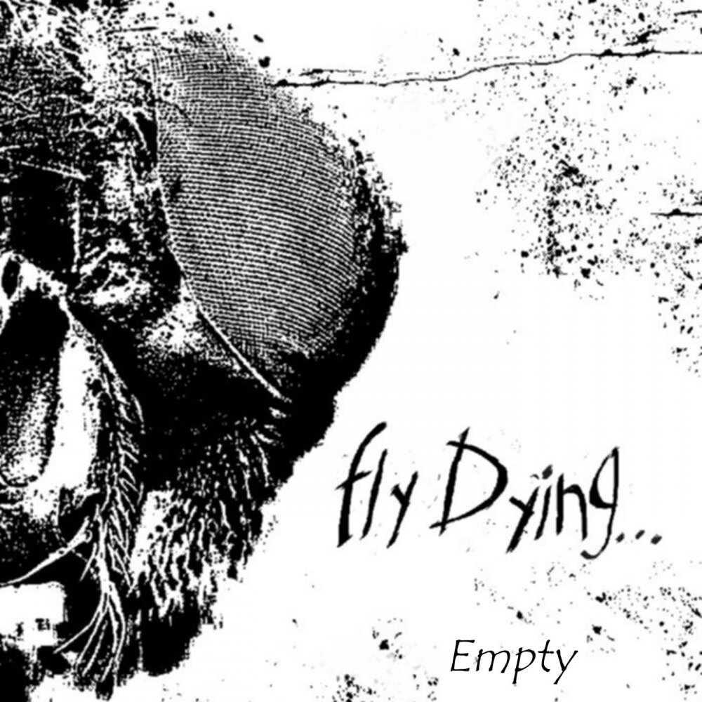 Dying flying. Fly Dying обложки альбомов. Обложка empty Sound.