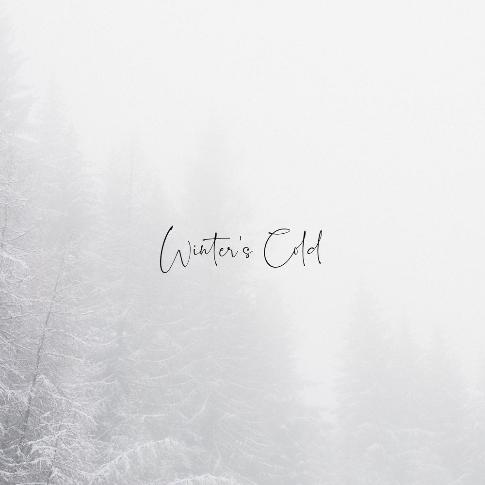 Winters winters album. Зима музыка.