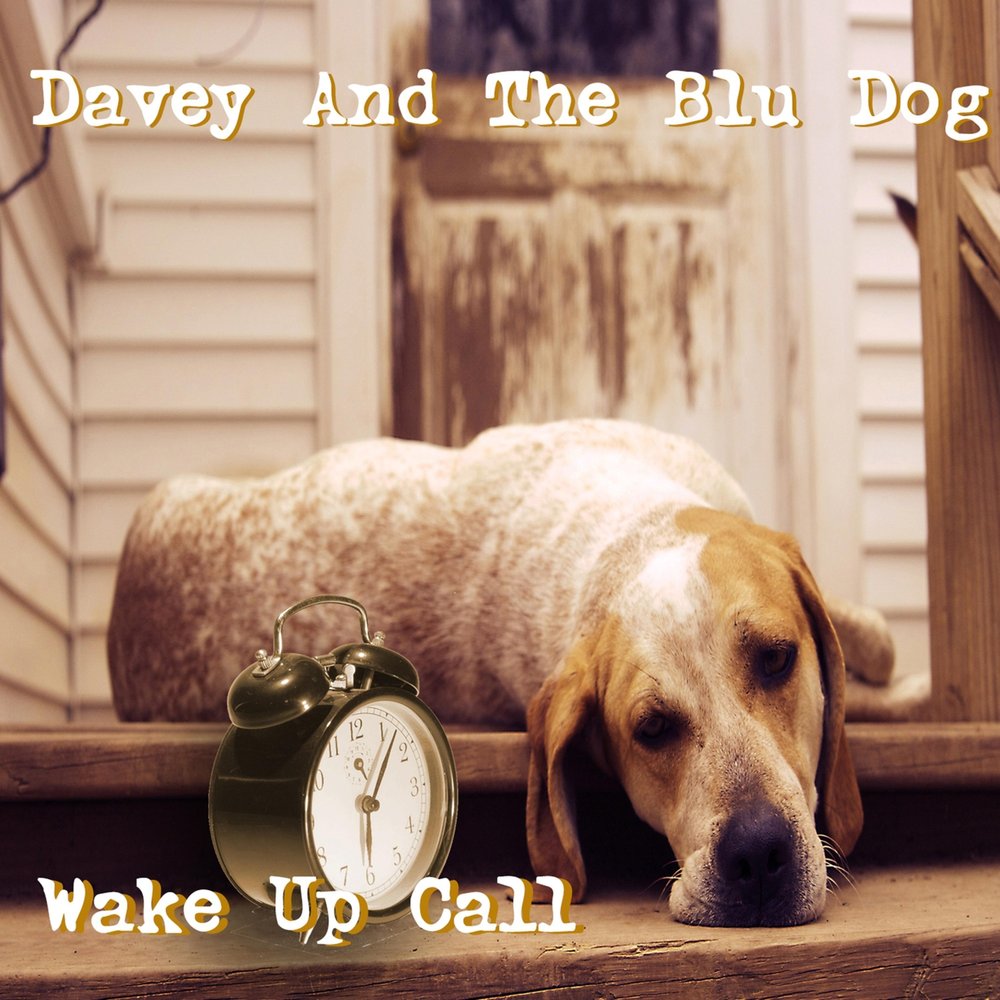 Wake the dog. Wake up Call. Waking up Dog. A tempo with Dog.