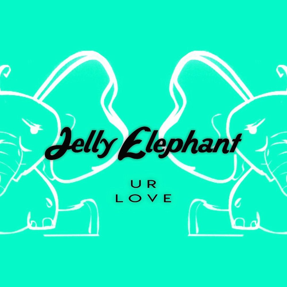 Песня jelly. Слон Джелли. NK песни elefante. Elephant Jelly Swan Foresight. NK песни elefante в ВК.