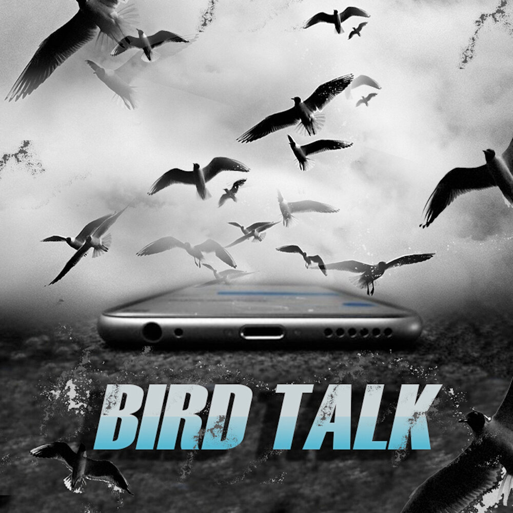 Bird talk. The talking bird. Bird talk. попугай повторяет. The talking bird.