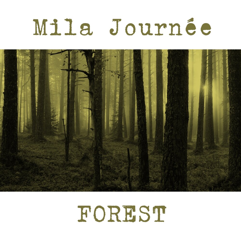 Mila journée. Лес Милы. Песня Mila journee right.