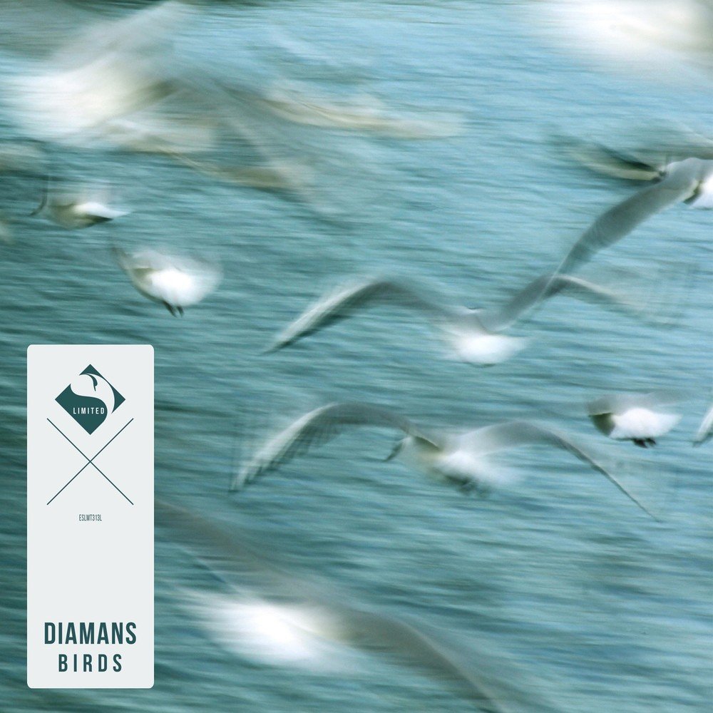 Listen the birds sing. Diamans. Listen Birds. Of Birds инструментальная музыка. The Gathering Nighttime Birds.