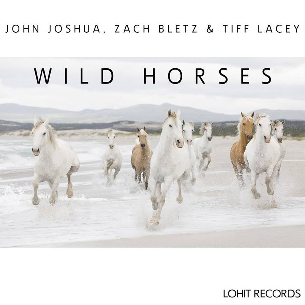 Песня wild horses. Тидал лошадь. Wild Horses - the Nashville album. Эмоции это Дикие лошади. Фото альбома группы Wild Horses (uk) - the first album.