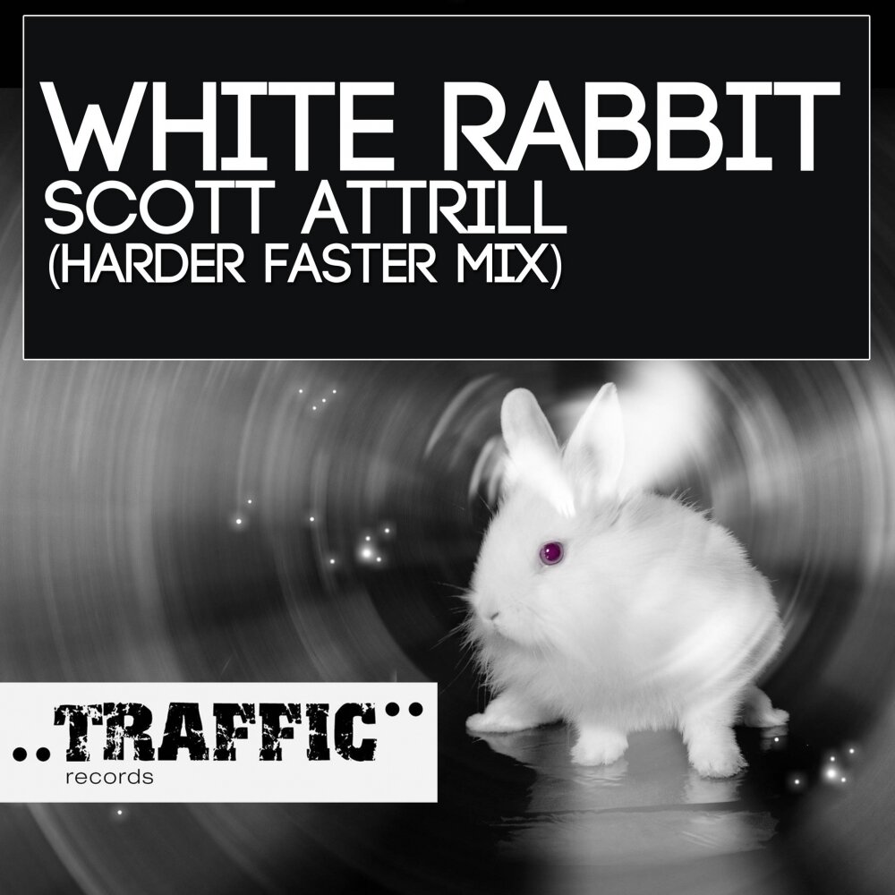 Песня faster and harder. White Rabbit группа. Александрович White Rabbit. White Rabbit песня.