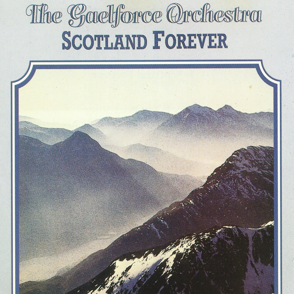 Scotland forever. Скотланд Форевер. Скотленд Форевер звук. Scotland Forever Мем.
