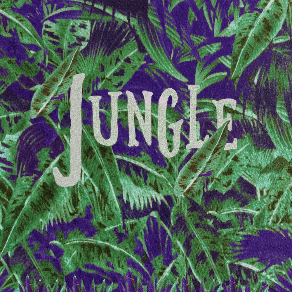 Слушать зелен. Jungle музыкальный стиль. Jungle обложка. Джунгли надпись. Jungle альбомы.