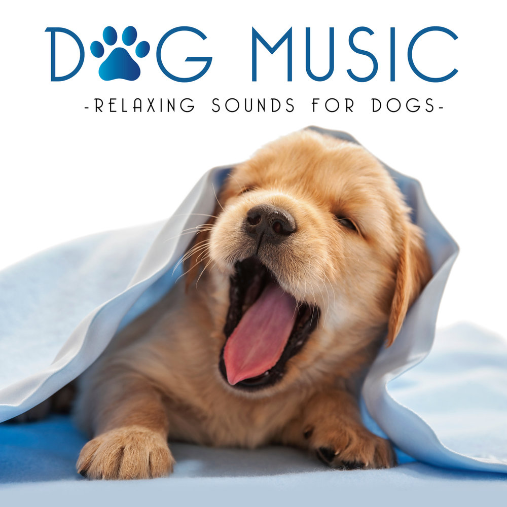 Dog music. Relax are for Dogs.