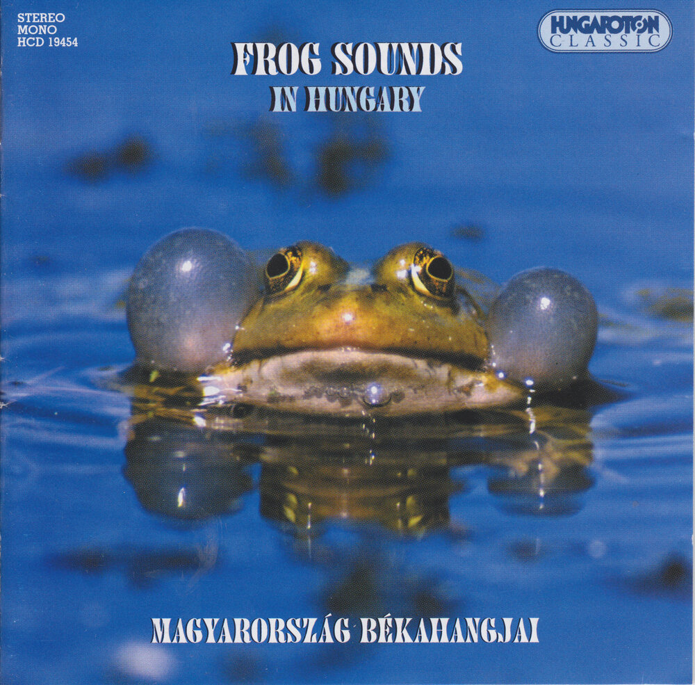 Frog слушать. Frog Sound. Звук Жабы. Квак лягушки звук. Звуки лягушки слушать.