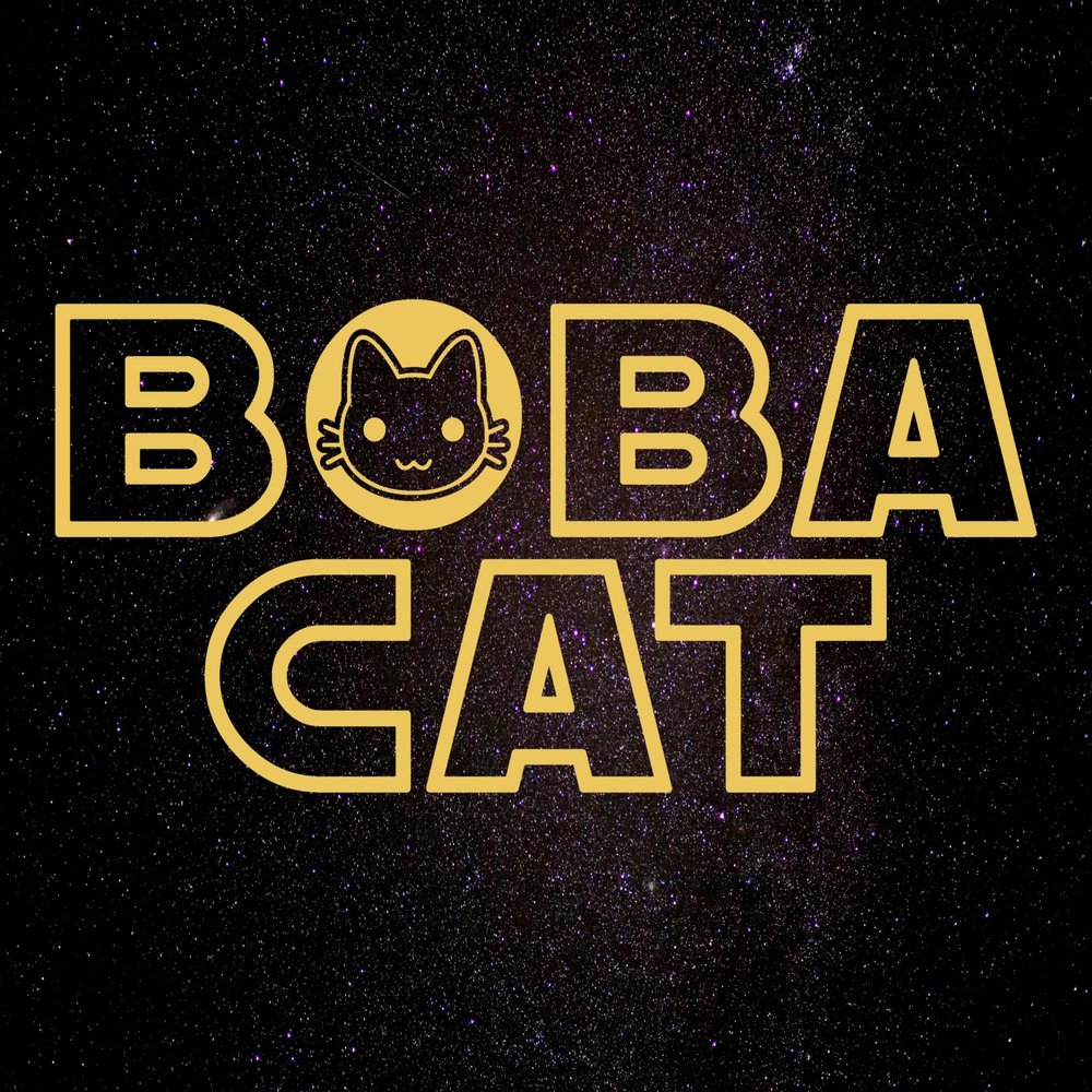 Boba cat. Ищищ Cat.