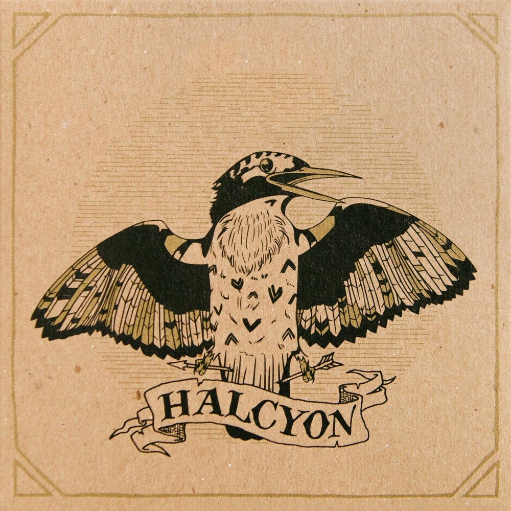 Halcyon Runaway. Halcyon Valley группа. Изображение для слова Halcyon. Halcyon cartoon.