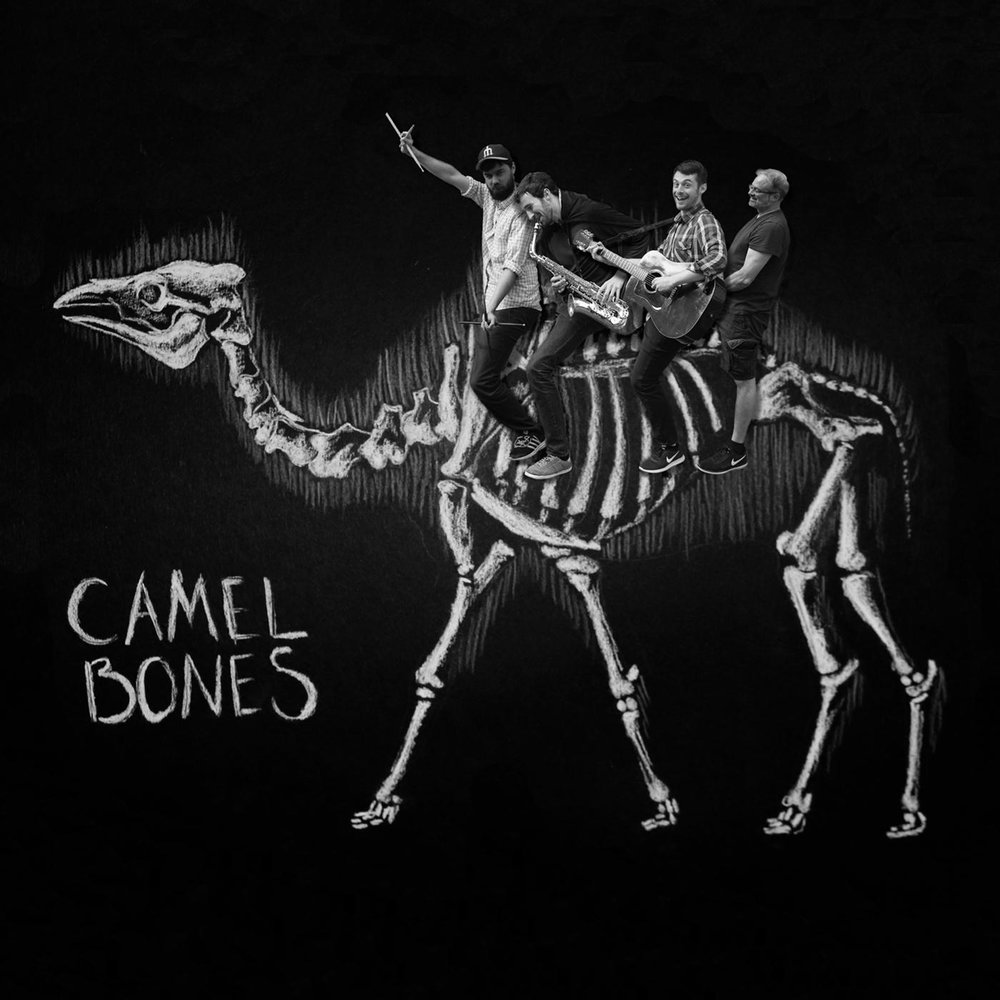 Camel by camel кошка. Bones Ohno. Camel альбом. Camel Camel альбом. Camel by Camel обложка.