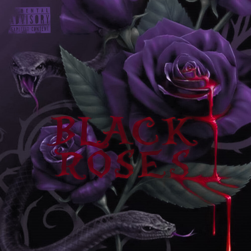 Black rose текст. Черная роза обложка. Обложка альбома черные розы. Розы для обложки профиля на черном. Джойс Барден роза.