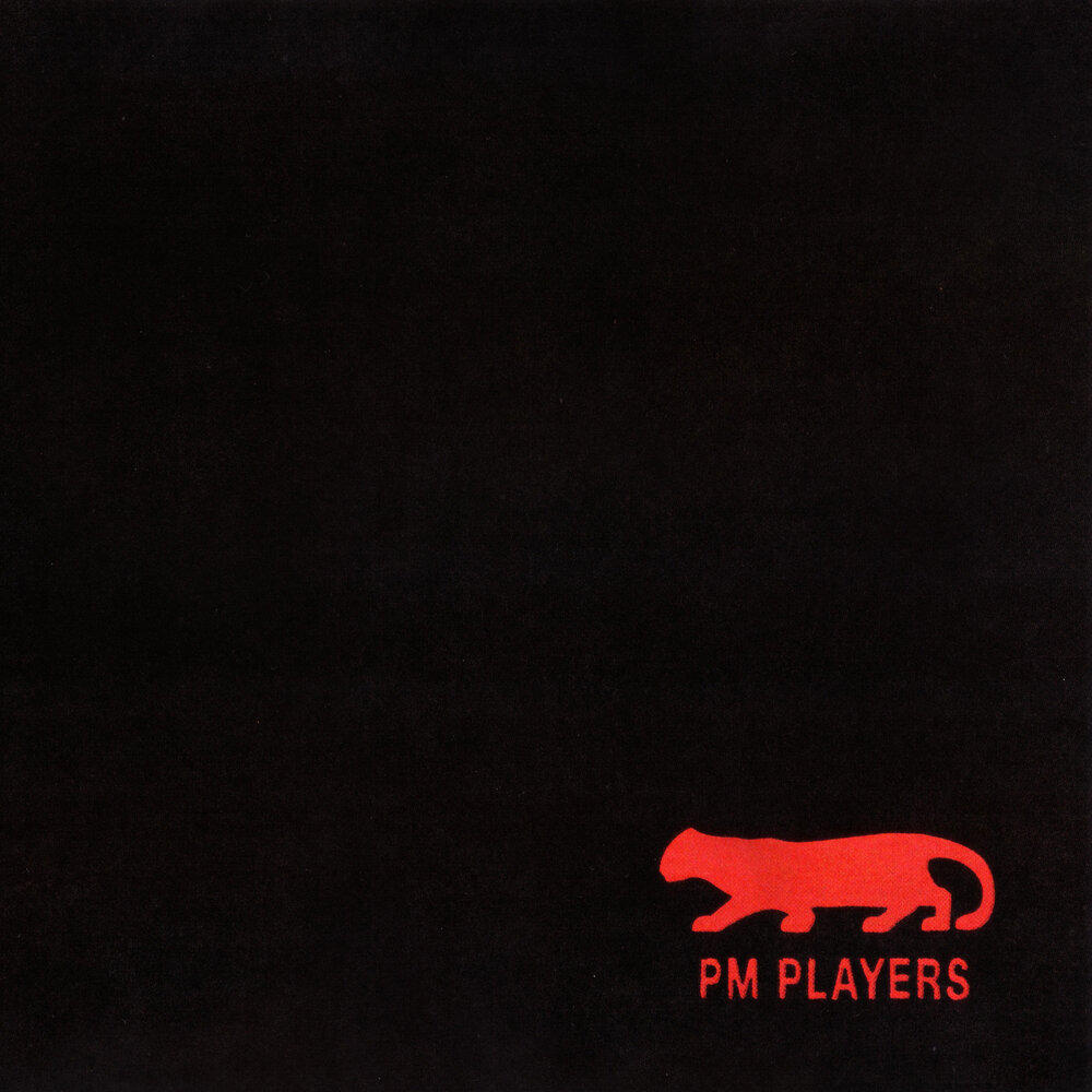 Обложка проигрывателя бразерс. Play pm. Play pm. Vhs камера эффект. Эффект съемки на старую камеру.