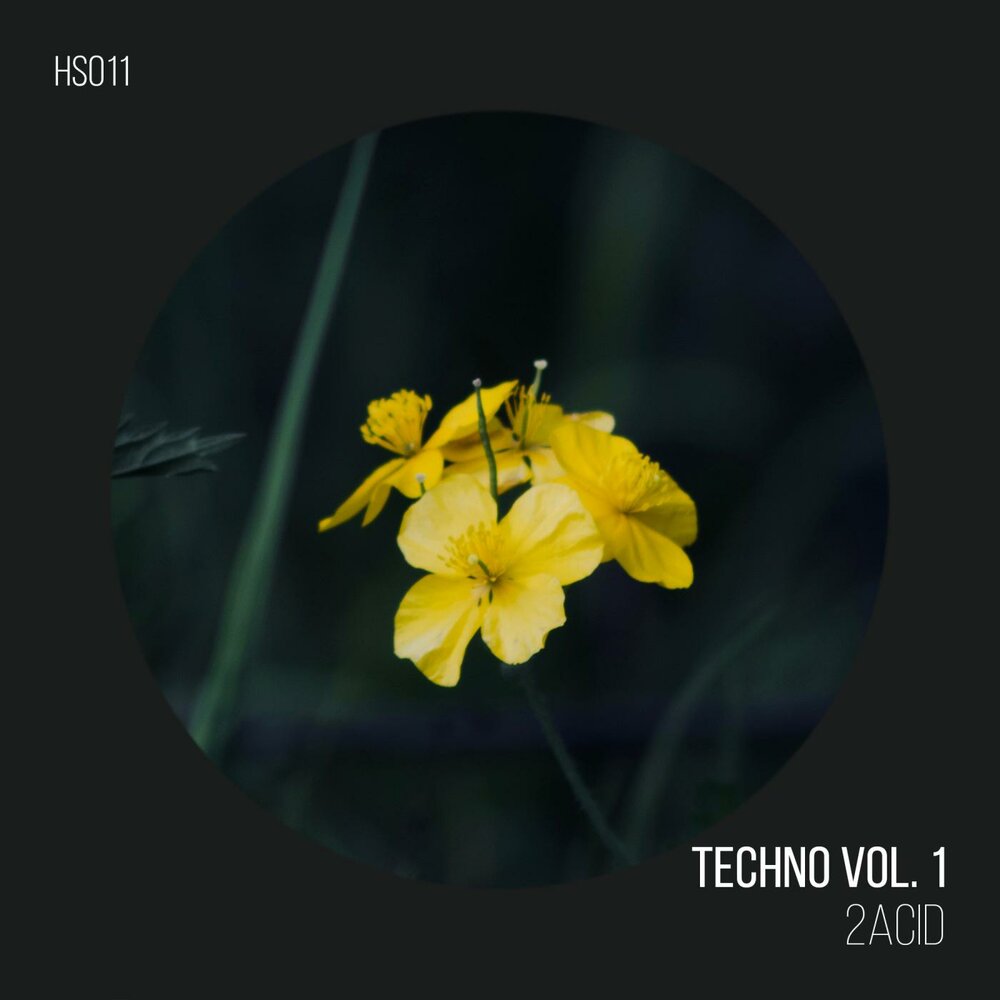 Techno vol 1