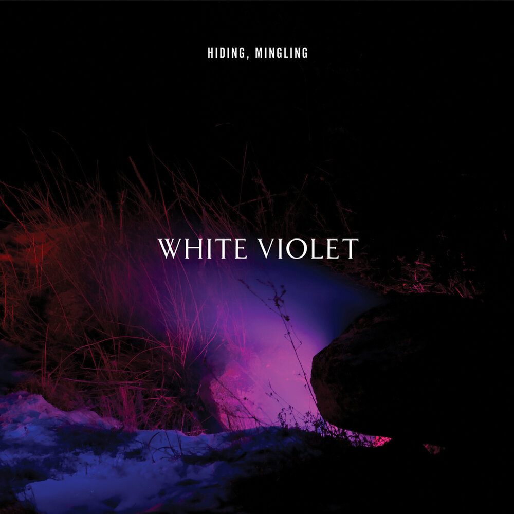 Violet white. Violet песня. Violet песня слушать онлайн. Известные песни Violet.