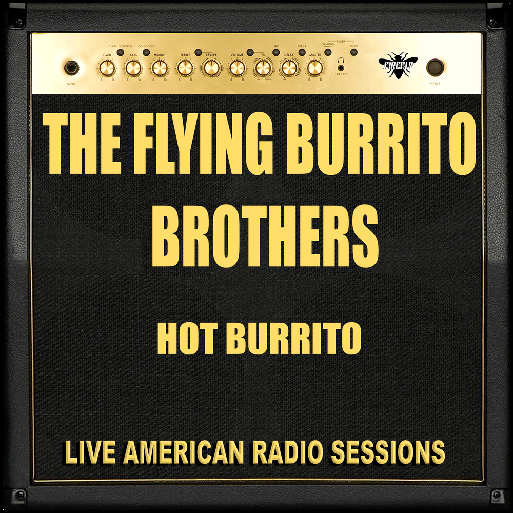 The Train Song - The Flying Burrito Brothers. 