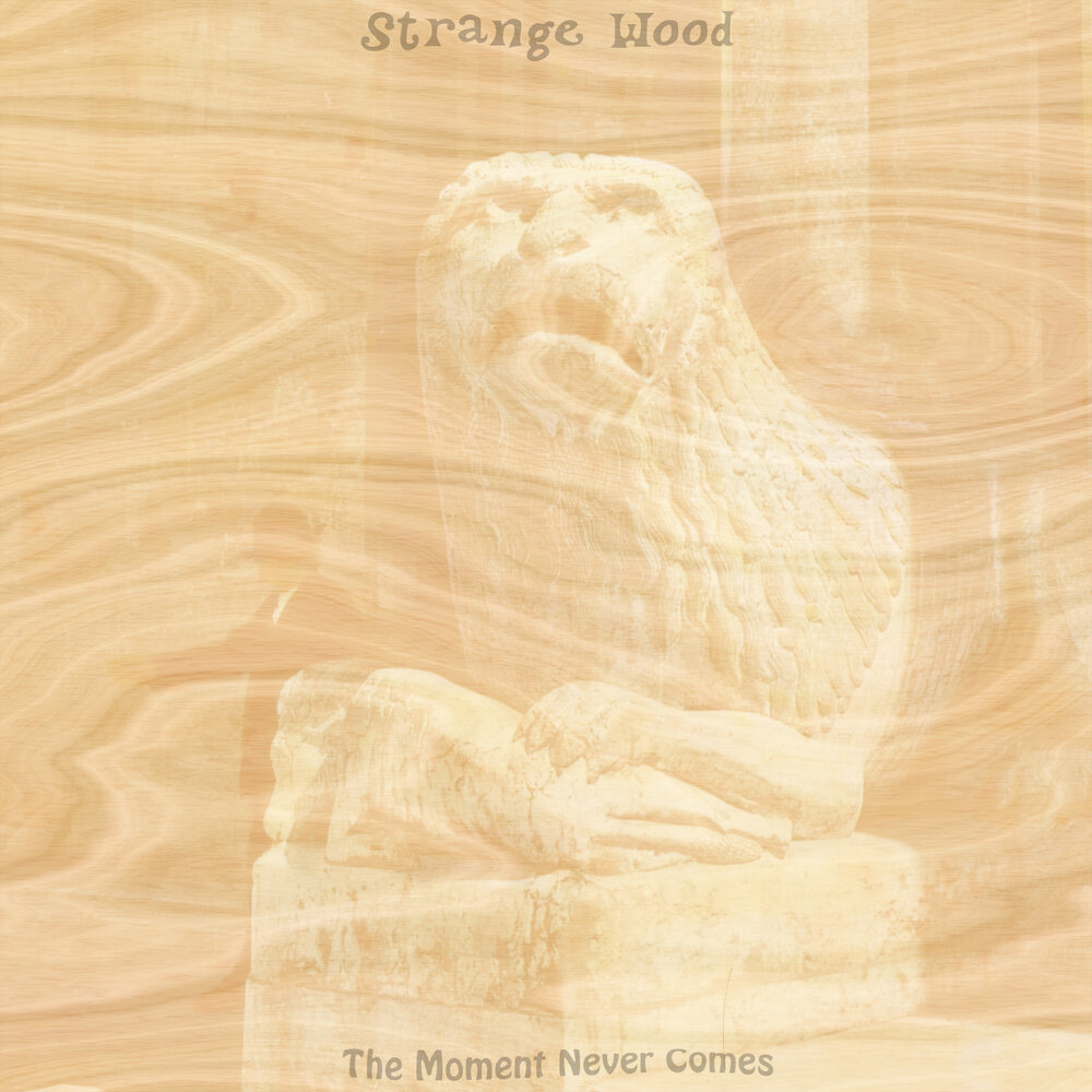 Stranger wood