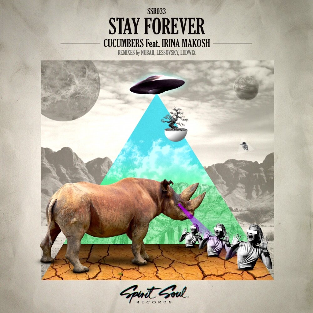 Песня stay forever. Stay forever. Песня stay forever. Forever error. Песня stay forever.