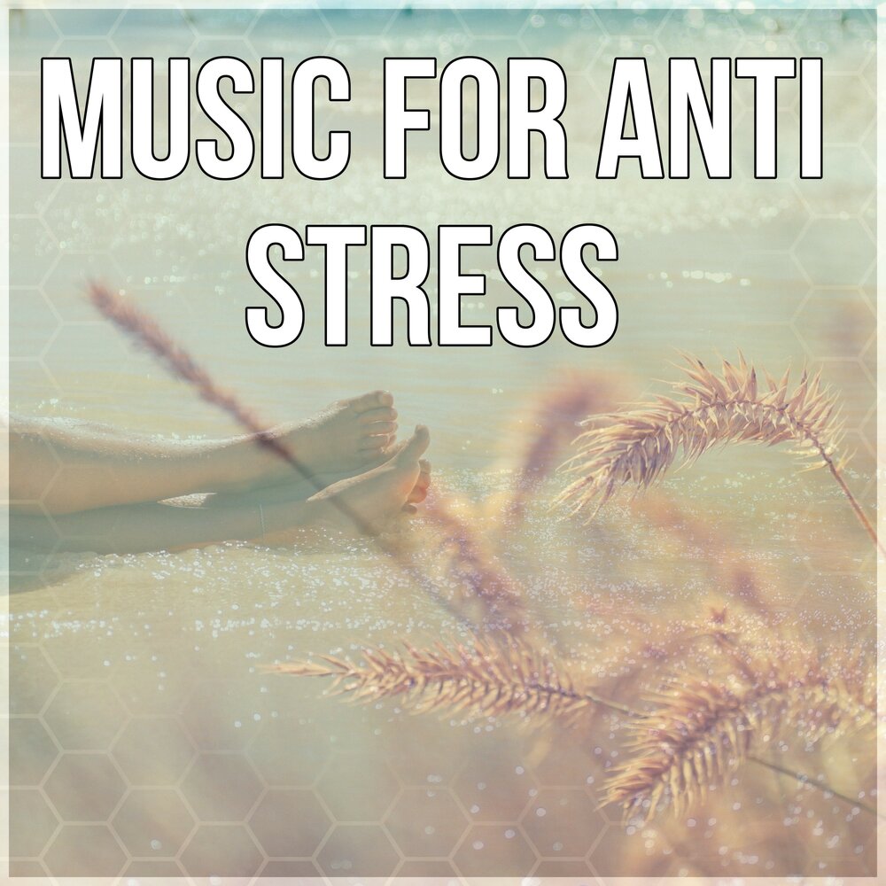 Against the music. Anti stress музыка. Spring Forest Sounds музыка альбом. Зимняя сказка Calm Music Zone. Ambiental Melody Relaxing Music.