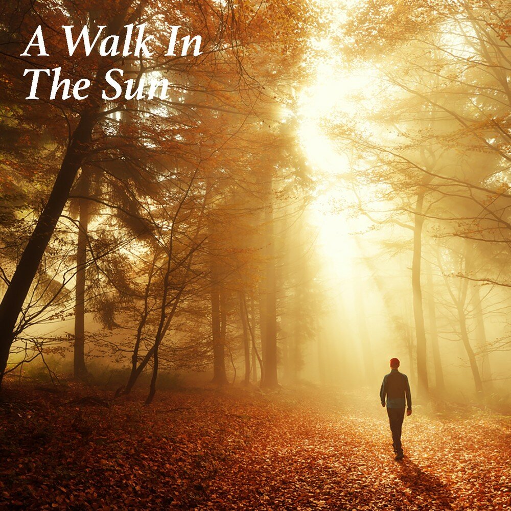 Forest walk. Walk in the Sun. Forest we walk песня. Walk in the Sun новелла.
