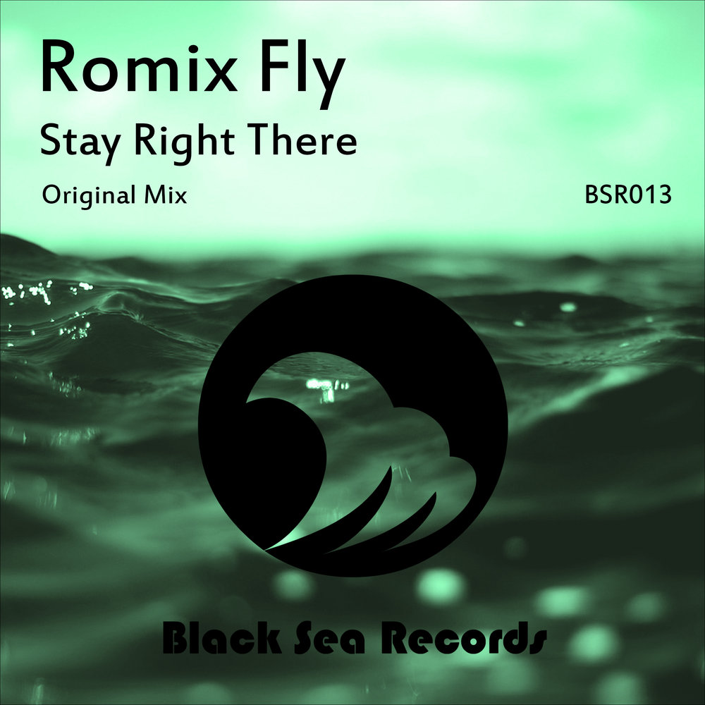 Simple feeling. Песня stay Fly обложка. Песня stay Fly Speed. See the Sea records.