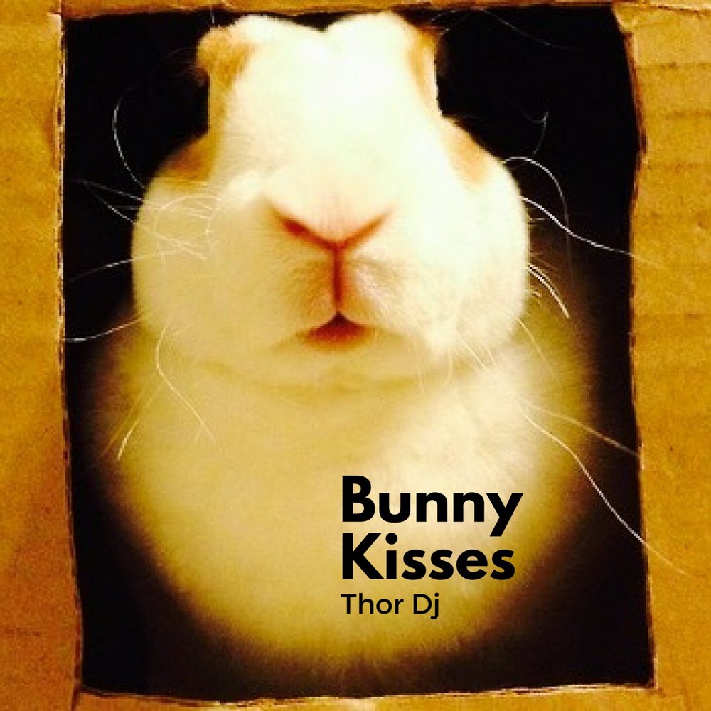 Bunny музыка. Bunny DJ. Bunny Kiss. Bunny Kisses перевод.