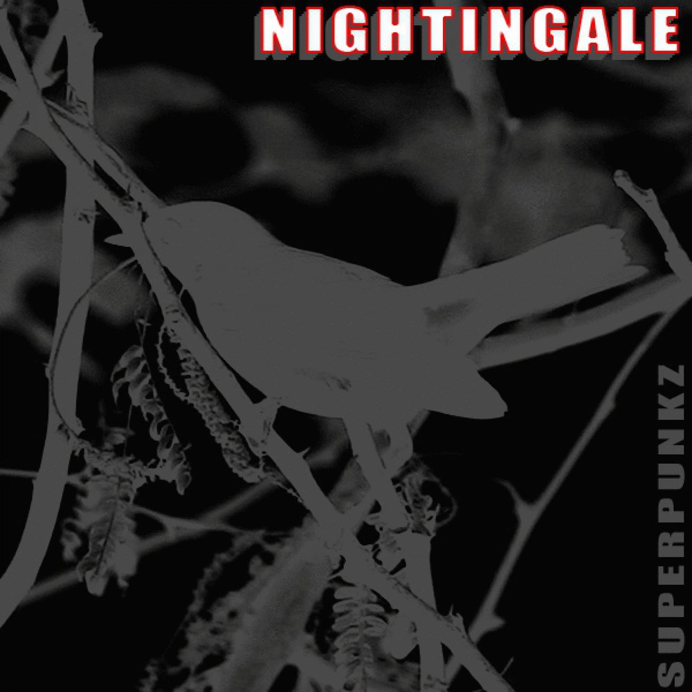 Соловьи минусовка. Nightingale - White Darkness 2007. Nightingale Retribution альбом. Соловьи на обложку альбома.