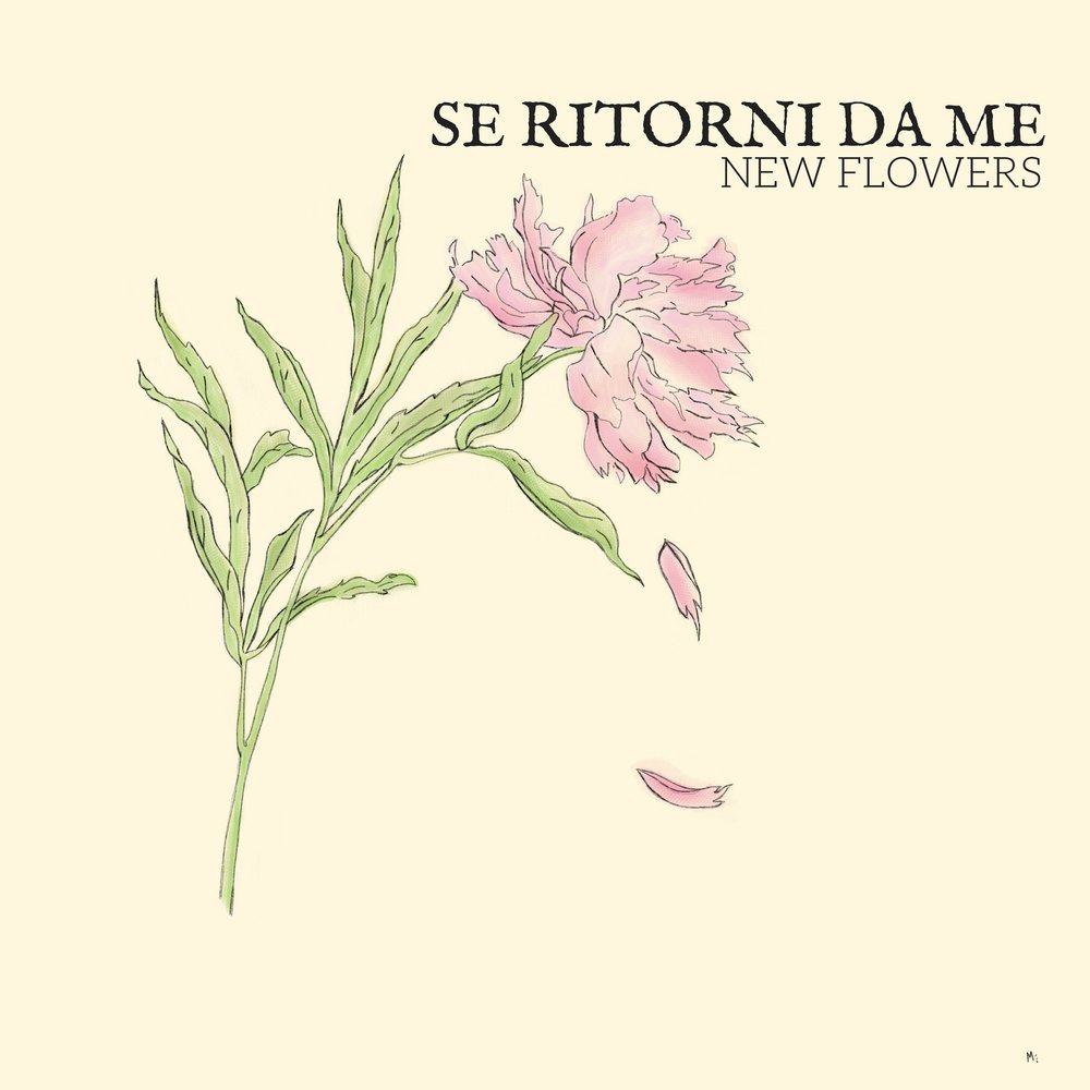 Новые песни про цветы
