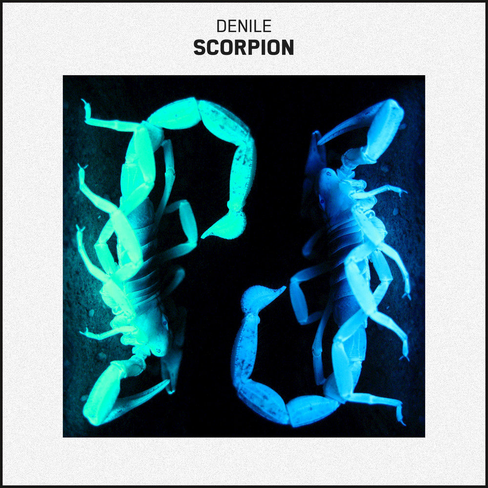 Песня про скорпиона. Scorpions обложки альбомов. Скорпион слушать. Denile.