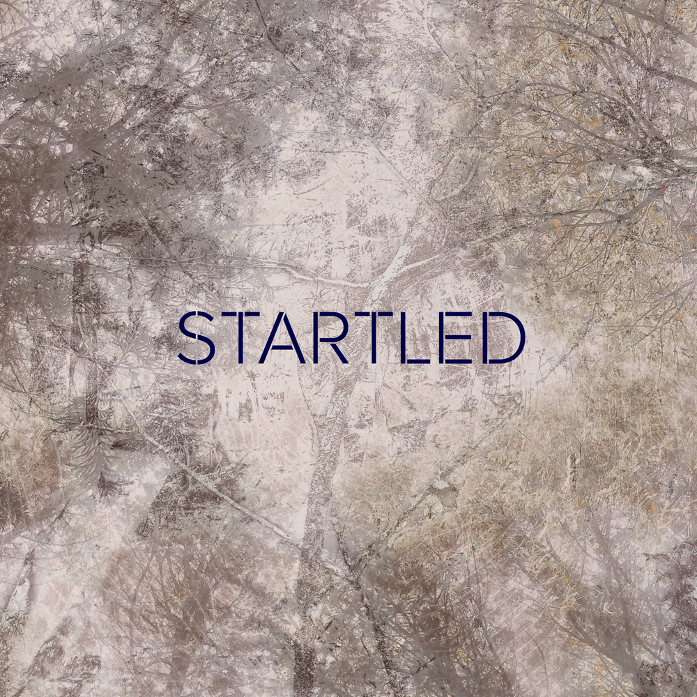 Be startled. Be startled. Startled. Южный парк нашествие морских свинок. Startled.