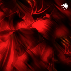 Жалаңаш қыздармен бейне сұхбат