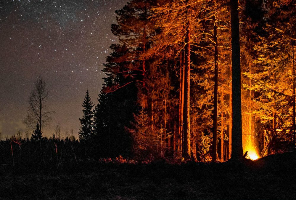 На небе разгорается. Тайга ночью. Ночной костер в лесу. Костёр в лесу ночью. Тайга вечером.