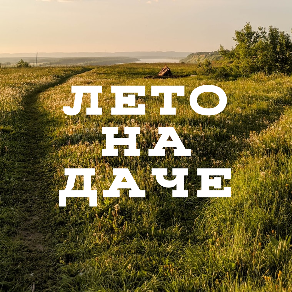 Музыка на даче.