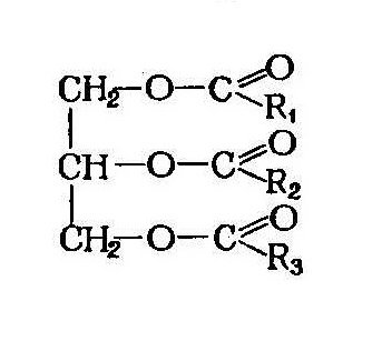 Схема образования молекулы жира